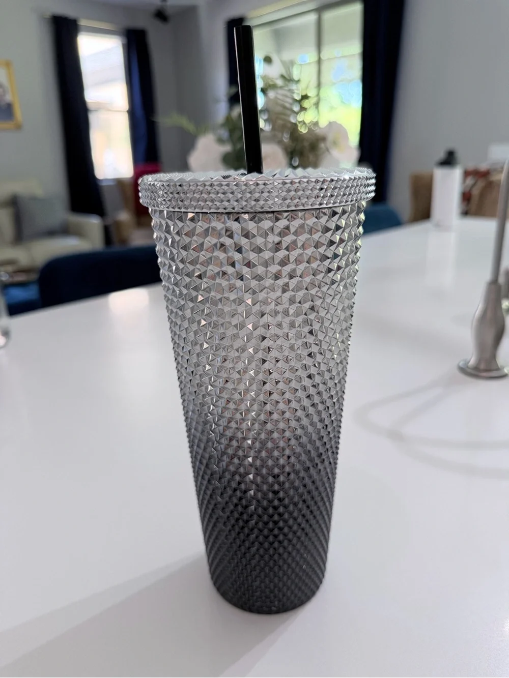 Silver Studded Stainless Tumbler with Straw